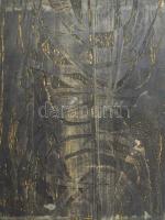 Diskay Lenke (1924-1980): 5 db fa nyomódúc, egyik hátoldalán jelzett, részben sérült, 45,5x35 és 52×...