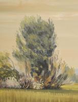 Kornis György (1927-2011): Őszi rét. Olaj, vászon, jelzett. Hátoldalán Képcsarnok Vállalat címkéjéve...