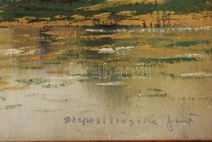 Szepesi Kuszka Jenő (1885-1948) Tátra táj. Olaj, vászon, jelzett. kis felületi sérülésekkel Dekoratí...