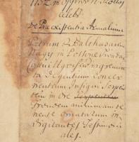 1598 Az Ugocsa megyei (ma Szatmár megyei) Tivadar községben lakó nemesek testimoniális levele a Nagy...