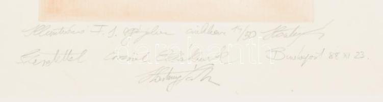 Hartung Sándor (1962- ): Illusztráció F. J. regényéhez. Rézkarc, papír, jelzett, számozott: 14/50 pa...