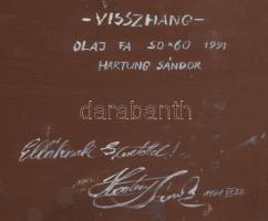 Hartung Sándor (1962- ): Visszhang. Olaj, farost, jelzett, hátoldalán autográf felirattal. keretben ...