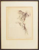 Almásy Aladár (1946-): Vak koldus. Rézkarc, papír, .jelzett, számozott 51x/100 keretben 29x25 cm