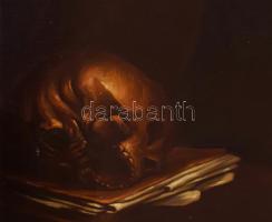 Dienes László (1891-?): Giambattista Pittoni után. Női portré. Olaj, vászon. Jelzett. 95x75 cm. Deko...