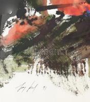 Kardos János (1946-2018): Kompozíció, 1991. Akril, papír. Jelezve lent. Üvegezett fakeretben. 65x103...