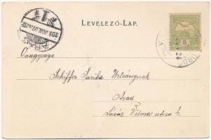 1903 Tusnádfürdő, Baile Tusnad; Elsa villa, Mikes fürdő (meleg), Bogdán villa. Müller Gy. utóda Tart...