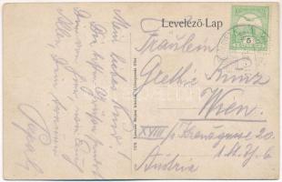 1911 Gyergyótölgyes, Tölgyes, Tulghes; látkép, fűrésztelep. Lenczer Bojum kiadása / general view, sa...