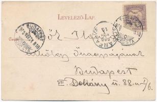 1900 Topánfalva, Topersdorf, Campeni; Csiky testvérek üzlete és saját kiadása, Aranyos folyó / shop,...