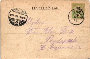 1904 Fogaras, Fagaras; M. kir. állami főgimnázium és felső kereskedelmi iskola, M. kir. postahivatal...
