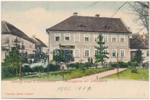 1905 Fogaras, Fagaras; Sterzing utca kastélypark részlettel, gyógyszertár. Thierfeld Dávid kiadása / Sterzinggasse mit Schlosspark, Apotheke / street view, castle park, pharmacy