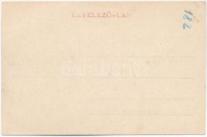 1905 Fogaras, Fagaras; Sterzing utca kastélypark részlettel, gyógyszertár. Thierfeld Dávid kiadása /...