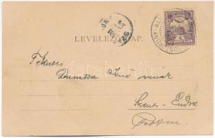 1901 Szászsebes, Mühlbach, Sebes; Siculorumgasse, Apotheke / Székely utca, Ferdinand Baumann üzlete,...