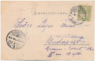 1903 Nagyenyed, Aiud; vashíd a Maros folyó felett. Fenichel Lázár kiadása / bridge across Mures rive...