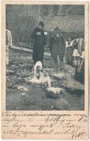 1912 Algyógy, Geoagiul de jos, Geoagiu; Új vasas ivóvíz gyógyforrás. Fried Eskeles kiadása / mineral water spring (ázott sarok / wet corner)