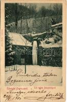 1901 Oravica, Oravita; Téli tájkép Bányavölgyről. Gross Gyula kiadása / winter (EK)