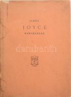 James Joyce: Kamarazene. Bp., 1958. Európa. 85p. Kiadói egészvászon kötésben. Papír védőborítóval.