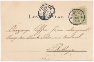 1903 Nagylak, Nadlac; Városháza, görögkeleti és ágostai hitvallású evangélikus templom, kisdedóvoda,...