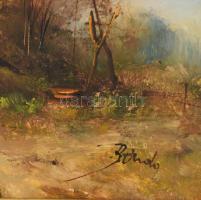 Benda Zoltán (1963-): Őszi fények. Olaj, farost, jelzett, dekoratív fakeretben, 20×60 cm