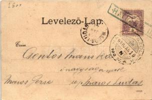 1900 Hatvan, vasútállomás, vonat. Hoffmann M. L. kiadása + "HATVAN - SZOLNOK 100. SZ. A" v...