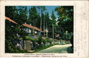 Szentkeresztbánya, Vlahita Noua, Minele Lueta (Lucta)(Szentegyháza, Vlahita); Fürdő kolónia, erdei részlet a nyaralókkal. Kamner &amp; Jekelius kiadása / spa, forest, villas (Rb)