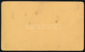 cca 1870 Pozsony, látkép a mólóval és a várral, keményhátú fotó, jelzés nélkül, kissé foltos, 6,5x10...