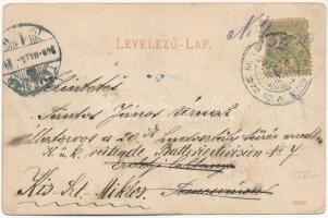 1905 Nagyzsám, Jamu Mare, Grossscham; Községháza / town hall + "M.-ILLYE-VERSECZ 272. SZ."...