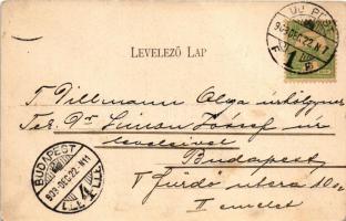 1903 Budapest IV. Újpest, Népszigeti Sporttelep, focipálya. Schön Bernát kiadása (fl)