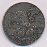 2024. 3000Ft Cu-Zn "Baranya vármegye, Pécs" kapszulában T:UNC