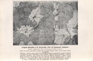 Soós Imre: Ősi sopronmegyei nemzetségek. Képek a sopronmegyei községek és családok történetéből. Sze...