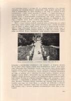 Dömötör Sándor: 
A jáki "ördögkövek" mondájának képzettörténetéhez.
Szombathely, 1966. S...
