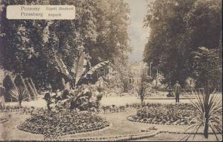 Pozsony Park shrubbery