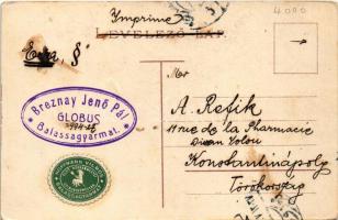 1912 Balassagyarmat, Zichy kastély. Breznay Jenő Pál Globus, Hoffmann Vilmos reklámaival (EK)