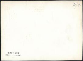 cca 1930-1940 Szendrő István (1908-2000): Budapest, Bátaszék gőzhajó a kivilágított Parlament előtt,...