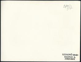 cca 1930-1940 Szendrő István (1908-2000): Budapest, Szent Jobb körmenet a Budai Várban, pecséttel je...