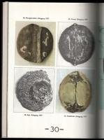 Urbán Nagy Rozália: Gorka Lívia. Corvina Műterem. Bp.,1979, Corvina, 60 p. Gorka Lívia műveinek repr...