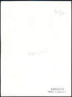 cca 1930-1940 Szendrő István (1908-2000): Fiatal pár koppányszántói népviseletben, Gyöngyösbokréta m...