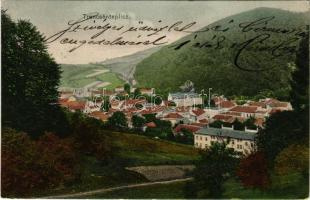 1908 Trencsénteplic, Trencianske Teplice; Wertheim Zsigmond kiadása (EK)