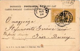 1901 Hölgy kártyával / Lady with cards. Br. K. W. I. Fec. Ch. Scolik (szakadás / tear)