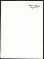 1945 Szendrő István (1908-2000): Budapest, felrobbantott Erzsébet híd, pecséttel jelzett fotó, sarka...