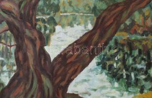Weisz Zsuzsa (1925-2017): Öreg fa folyónál, Zsennye, 1979. Olaj, farost, jelzett, hátoldalán autográ...