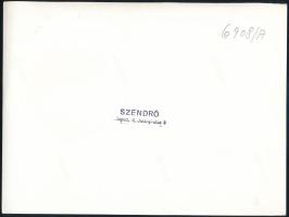 cca 1930-1940 Szendrő István (1908-2000): Botond Györgyi műkorcsolyázó gyakorol a városligeti jégen,...