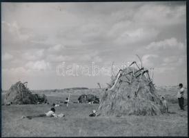 cca 1930-1940 Szendrő István (1908-2000): Parasztok a mezőn ebédidőben, pecséttel jelzett fotó, felületén törésnyom, 17×23 cm