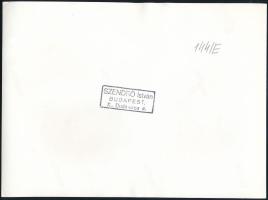 cca 1930-1940 Szendrő István (1908-2000): Parasztasszony kukoricafonás közben, pecséttel jelzett fot...