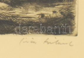 Iván Szilárd (1912-1988): Balatoni horgász, rézkarc, papír, jelzett, üvegezett fakeretben, 19x29 cm