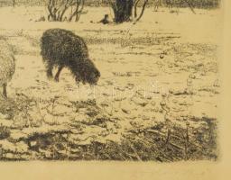 Dudás Jenő (1900-1991): Tél., rézkarc, papír, jelzett, üvegezett fakeretben, lapszéli apró folttal, ...