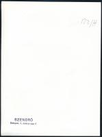 cca 1930-1940 Szendrő István (1908-2000): Postás kisasszony postaládánál, pecséttel jelzett fotó, 23...