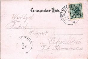 1900 Heidenreichstein, Bahnhof / general view with castle, railway station (small tear)