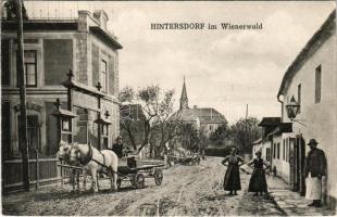 Hintersdorf im Wienerwald (Sankt Andrä-Wördern), street view, horse-drawn carriage (EK)