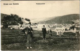 1914 Seliatyn, Selyatyin, Seletin; Totalansicht / general view (EK)