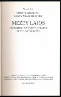 Mezey András: Szinyei Merse Pál nagyváradi mestere: Mezey Lajos festőművész és fotográfus élete, műv...